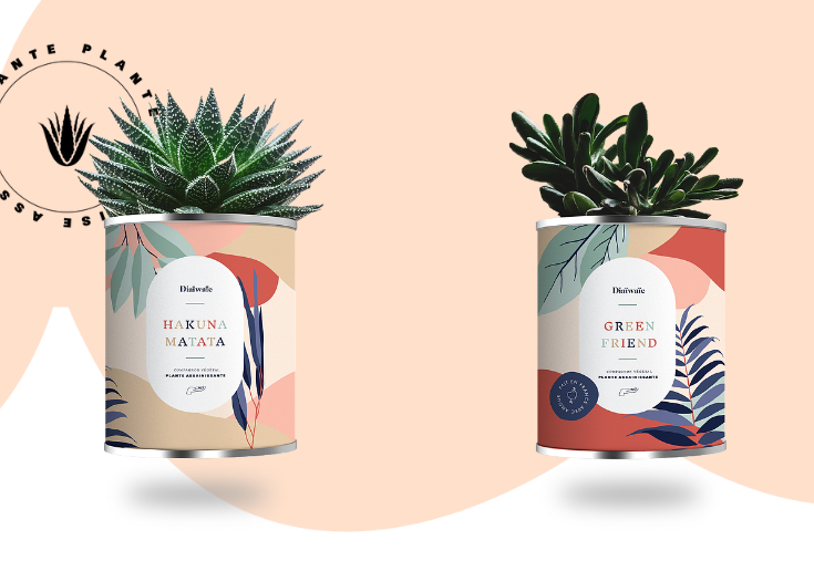 Diaiwaie plante